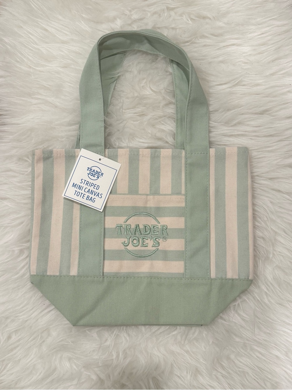 Trader Joe’s Striped Mini Canvas Tote Bag in Mint Green